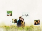 thumbs_twilight-field-wp